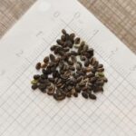 O1CN01gP74FX2Jkjlfv0hXs__2213216199460_jpg_q30_jpg