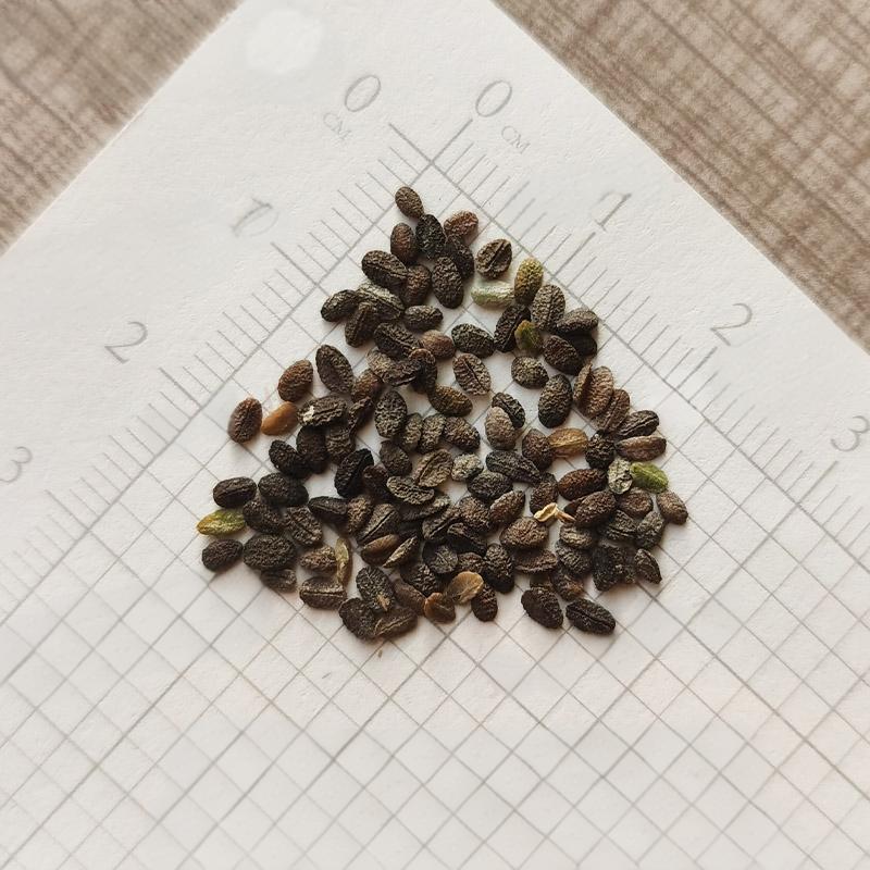 e324f27c7e89234cc630823a40779bd5