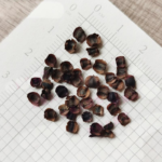 O1CN01sY5kXh2BdOJAvWftq__2044468361-0-cib