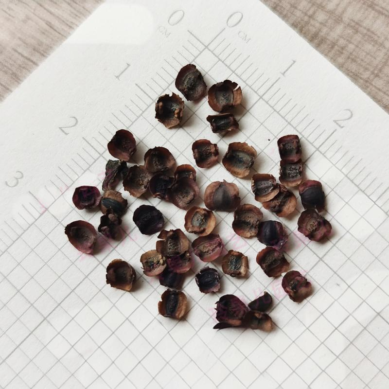 e46f3916648d3459ddd113d9fecb4b15