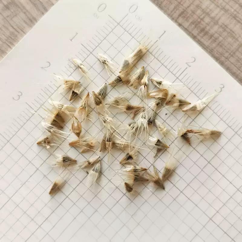 ead020001a9a91994913d8d004966b65-1