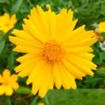 O1CN01sY5kXh2BdOJAvWftq__2044468361-0-cib