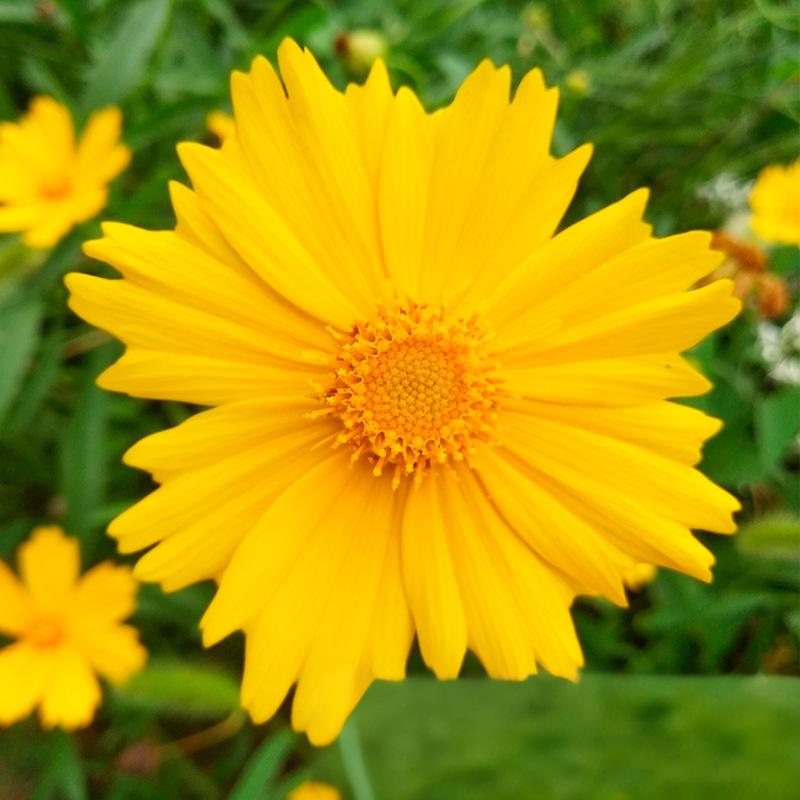 ebe2e7d4ff4dde3c248f3f421e2f5621