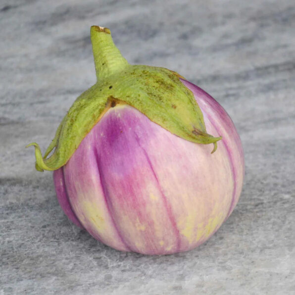 Rosa Bianca Organic Eggplant Seed