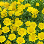 O1CN01cLPdgt2BdOJDt0o2n__2044468361-0-cib_1