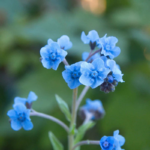 O1CN011YA8mc2JkjlRo2fdy__2213216199460_jpg_q50_jpg