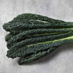 kale-organic-lacinato-shk-1_1
