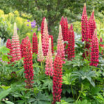 O1CN01ac44Ch2JkjlcgXR9F__2213216199460_jpg_q50_jpg