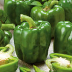 Green Machine (F1) Bell Pepper Seed