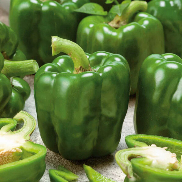 Green Machine (F1) Bell Pepper Seed