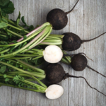 Nero Tondo Organic Black Spanish Round Radish Seeds