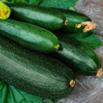 squash-organic-dark-green-zucchini-shk-1